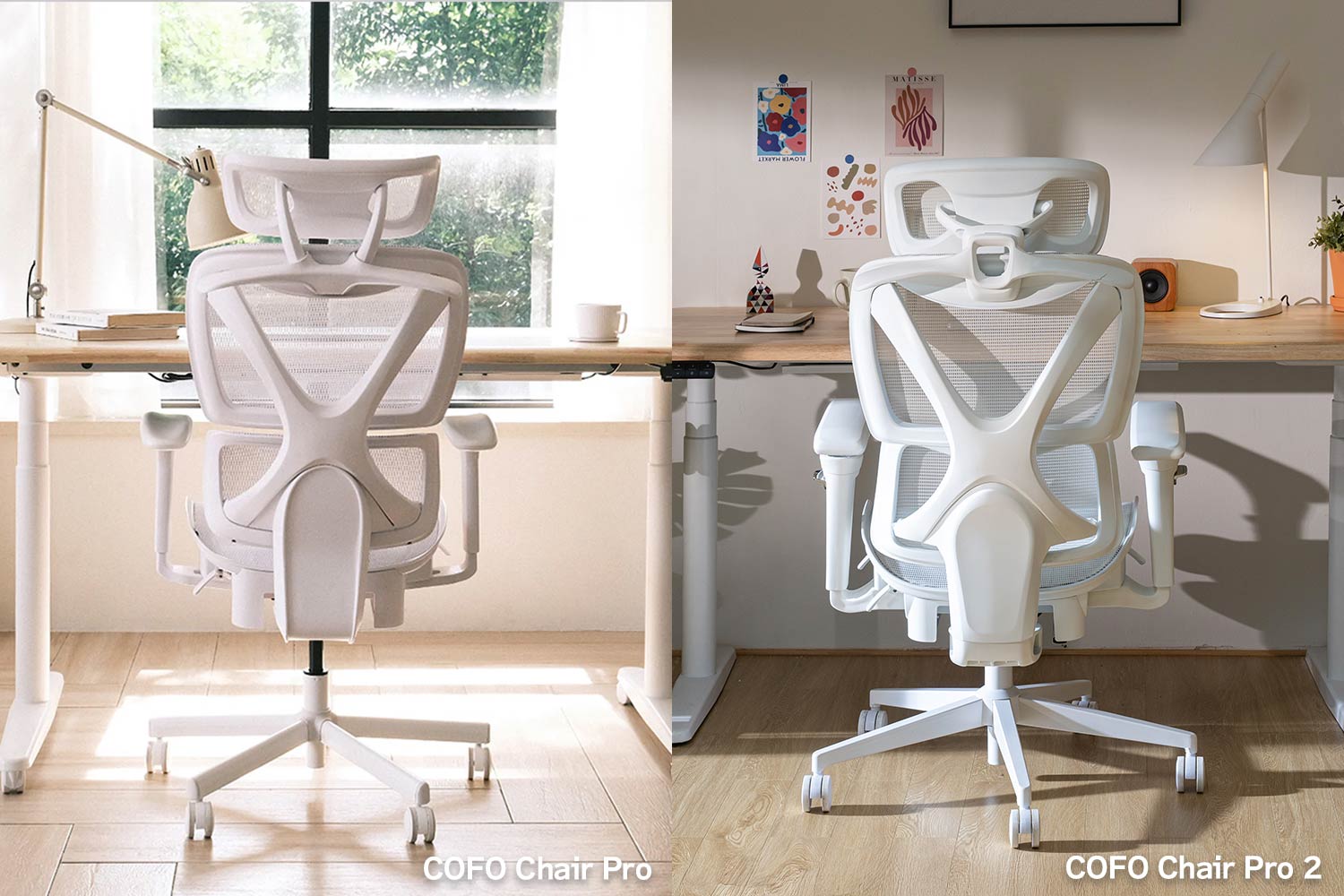 COFO Chair Pro 2　前モデルとの比較