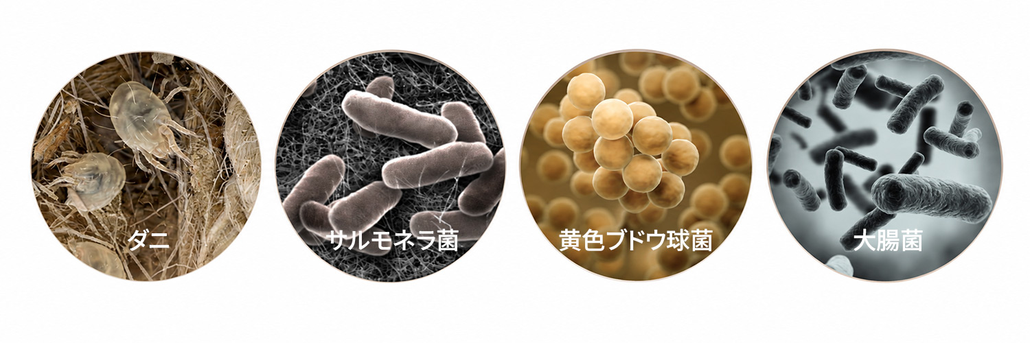 様々な菌やダニ